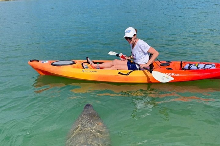 Sarasota Guided Mangrove Tunnel Kayak Tour - Photo 1 of 7